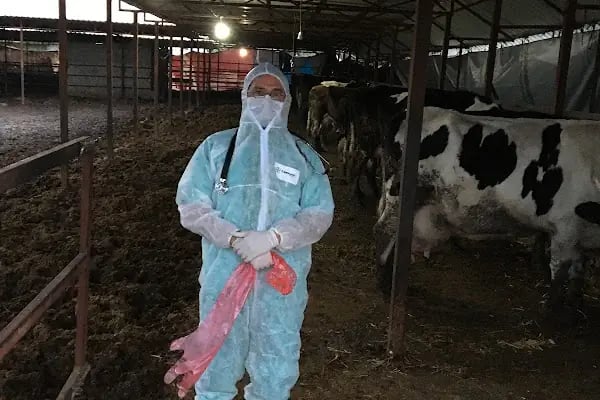 Özbay Veteriner Kliniği - Resim 10