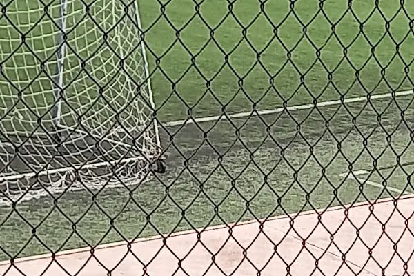 Genclerbirligi Spor Kulubu - Resim 20