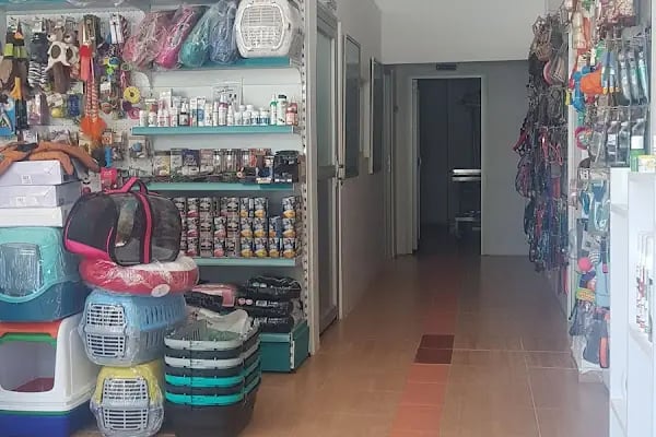 Özel Atlas Veteriner Hekim Muayenehanesi - Resim 14