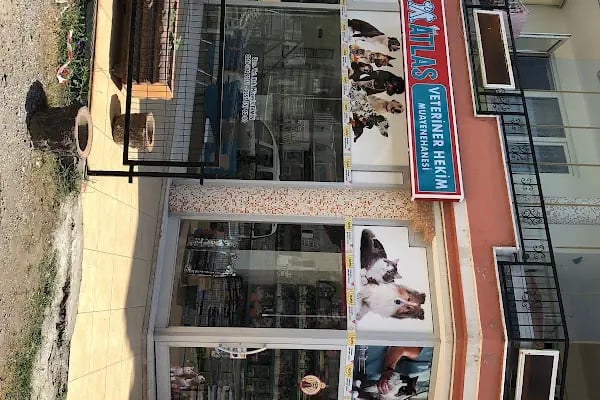 Özel Atlas Veteriner Hekim Muayenehanesi - Resim 12
