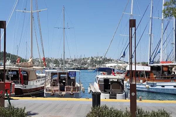 Akyarlar Köy Muhtarlığı - Resim 4