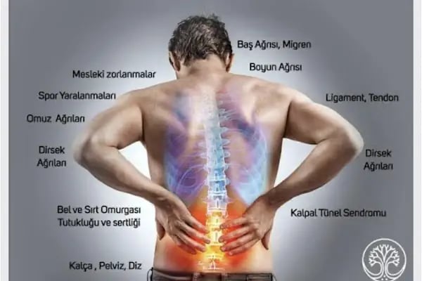 Liv Fizyowellness Fizyoterapi ve Masaj Merkezi - Resim 7