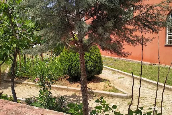 ÇAYIROVA MÜFTÜLÜĞÜ OSMAN NURİ AKSOY CAMİİ - Resim 4
