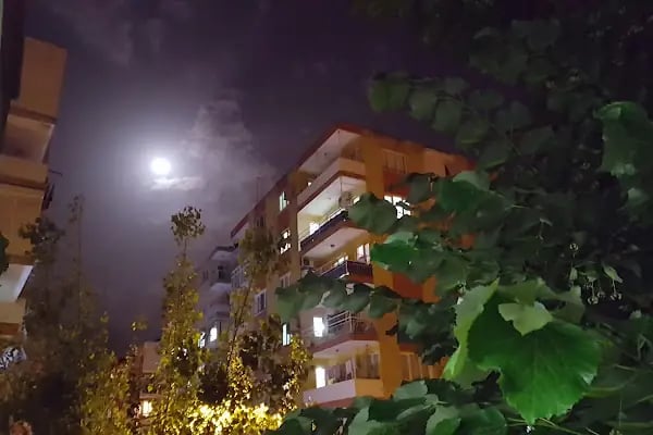 Zaim Ağa Parkı - Resim 13