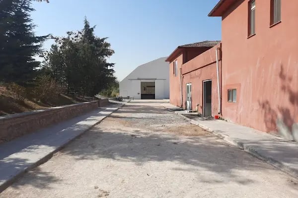 Ahal Teke Binicilik Tesisleri - Resim 19