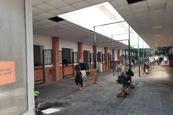 Ahal Teke Binicilik Tesisleri - Resim 14