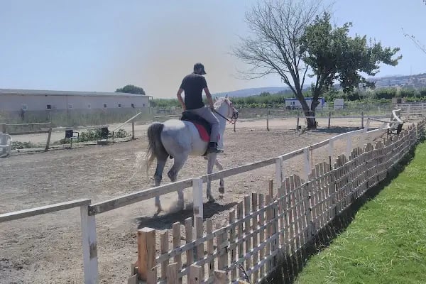 Manisa Şehzadeler Binicilik SK. - Resim 15