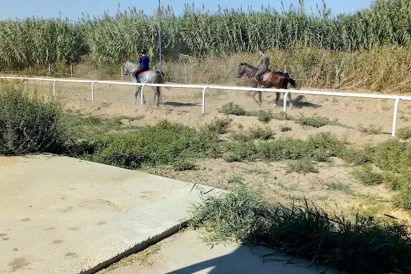 Manisa Şehzadeler Binicilik SK. - Resim 19