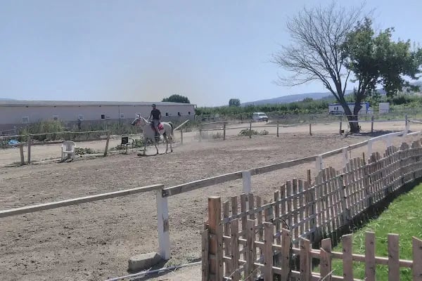 Manisa Şehzadeler Binicilik SK. - Resim 6