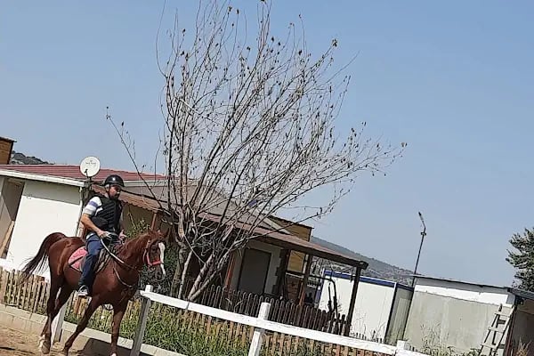 Manisa Şehzadeler Binicilik SK. - Resim 10