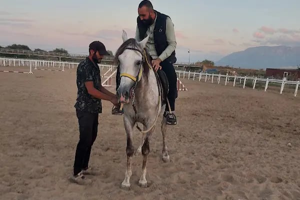 Manisa Şehzadeler Binicilik SK. - Resim 20
