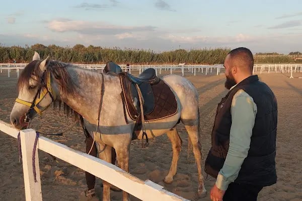 Manisa Şehzadeler Binicilik SK. - Resim 17