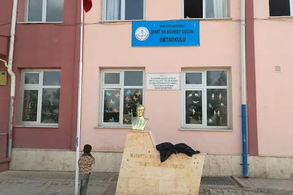 Şehit Er Mehmet Cücük Ilk/Ortaokulu - Resim 8
