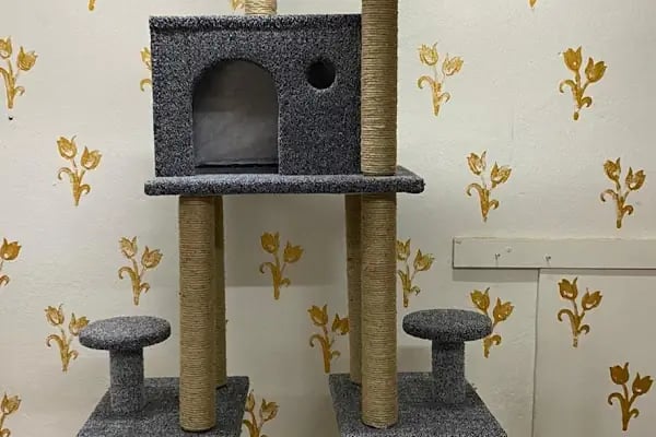 Duman Mia kedi evleri - Resim 17