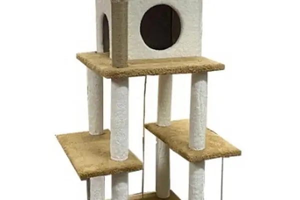 Duman Mia kedi evleri - Resim 13