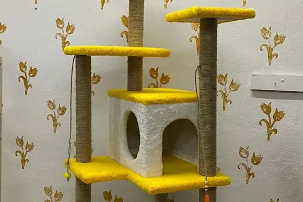 Duman Mia kedi evleri - Resim 3