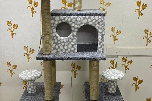 Duman Mia kedi evleri - Resim 7