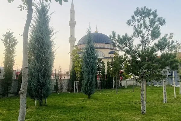 Sultan Abdulhamid Han Camii - Resim 3