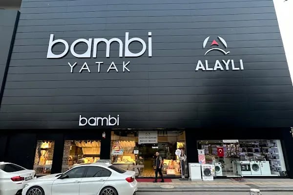 BAMBİ YATAK ALTUS BAYİİ SAKARYA ALAYLI - Resim 7