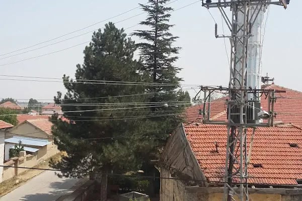 Alanyurt Köyü Cami - Resim 1