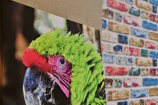 Ataş Fotoğrafçılık - Resim 9
