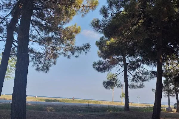 Belediye Plaj Tesisleri - Resim 2