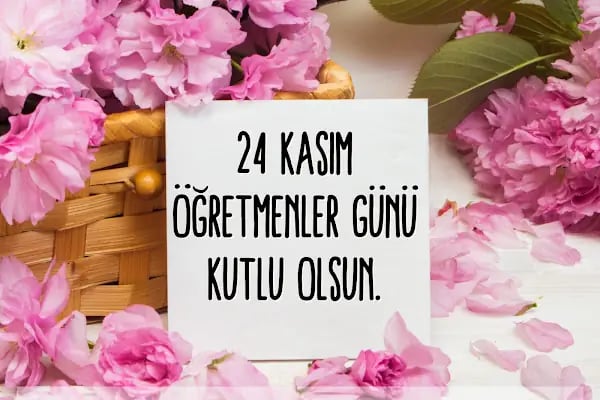 Altın Sayfa Eğitim Kurumları ~ Okul Öncesi - Resim 17