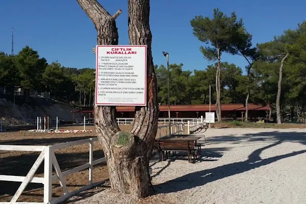 Rainbow Ranch At Çiftliği & Köpek Pansiyonu - Resim 3