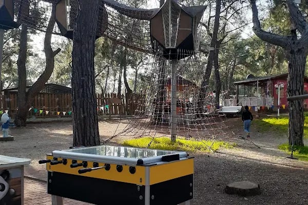 Rainbow Ranch At Çiftliği & Köpek Pansiyonu - Resim 9