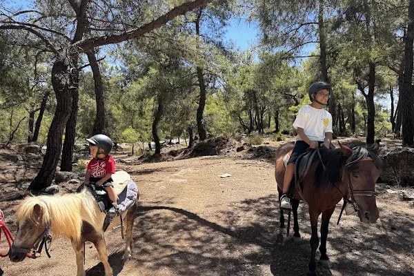 Rainbow Ranch At Çiftliği & Köpek Pansiyonu - Resim 18