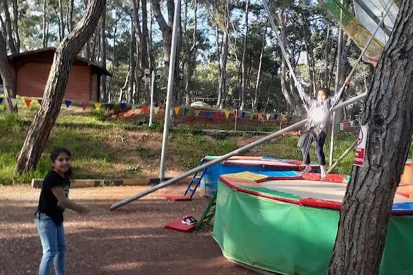 Rainbow Ranch At Çiftliği & Köpek Pansiyonu - Resim 11