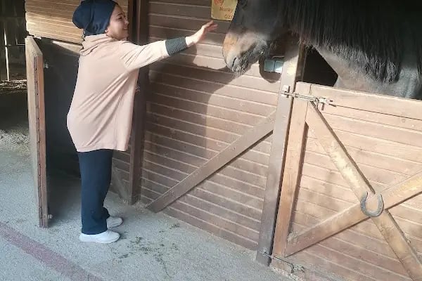 Rainbow Ranch At Çiftliği & Köpek Pansiyonu - Resim 10