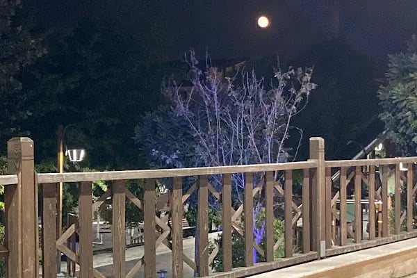 sabri uğur parkı ve millet kıraathanesi - Resim 19