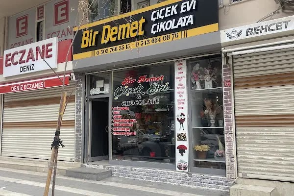 ROZA ÇİÇEK EVİ &amp; ROZA HEDİYELİK - Resim 15