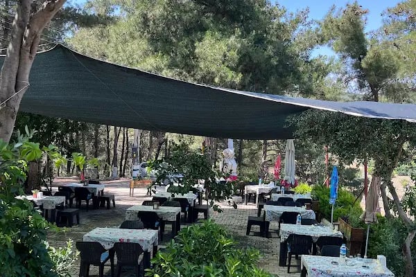 Seyir Teras Kahvaltı Çiçekliköy | Çiçekliköy Köy Kahvaltısı | Doğayla iç içe kahvaltı | Çiçekliköy Organik Kahvaltı - Resim 9