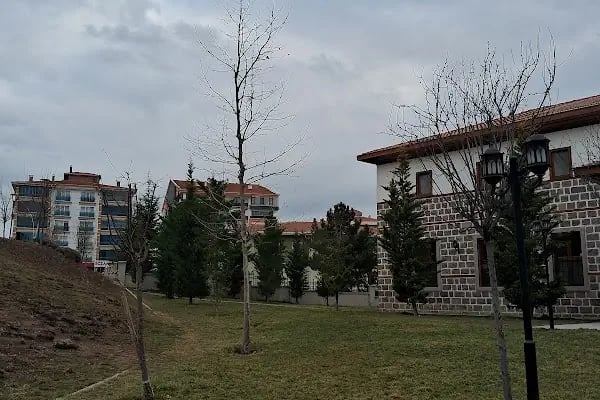 Şüheda Cami - Resim 5