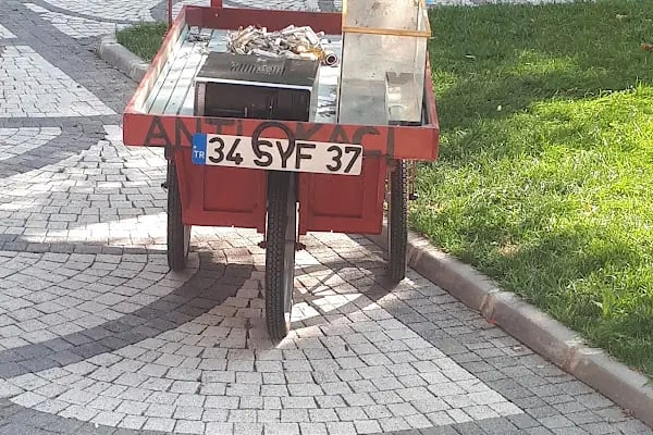 Yıldıztepe Parkı - Resim 11