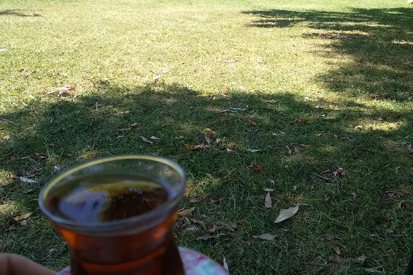Yıldıztepe Parkı - Resim 19