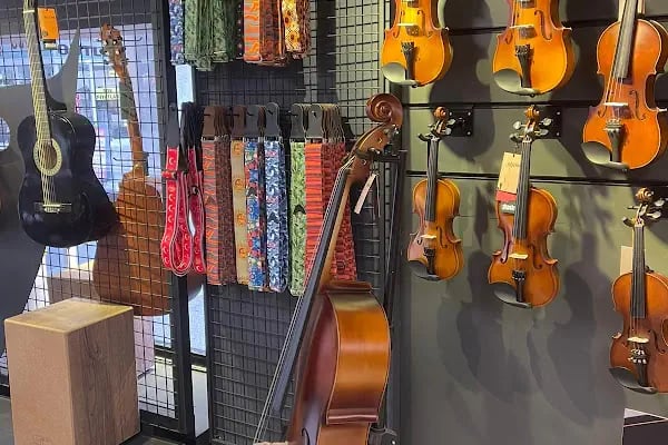MEB Özel Lavinia Sanat Akademi Müzik ve Kişisel Gelişim Kursu - Resim 14