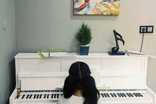 MEB Özel Lavinia Sanat Akademi Müzik ve Kişisel Gelişim Kursu - Resim 9