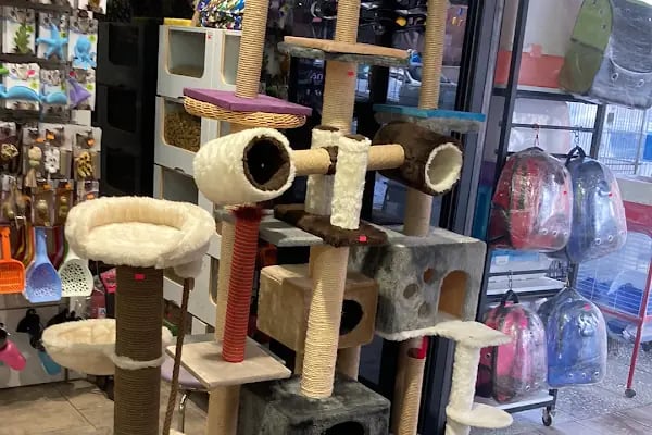 Ankara Pet Shop - Resim 3
