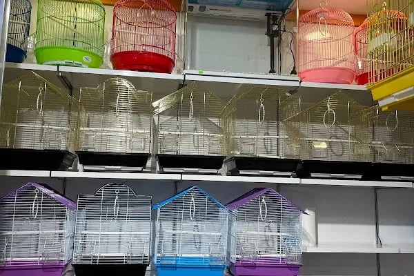 Ankara Pet Shop - Resim 9