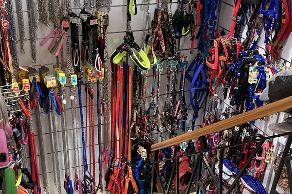 Ankara Pet Shop - Resim 4