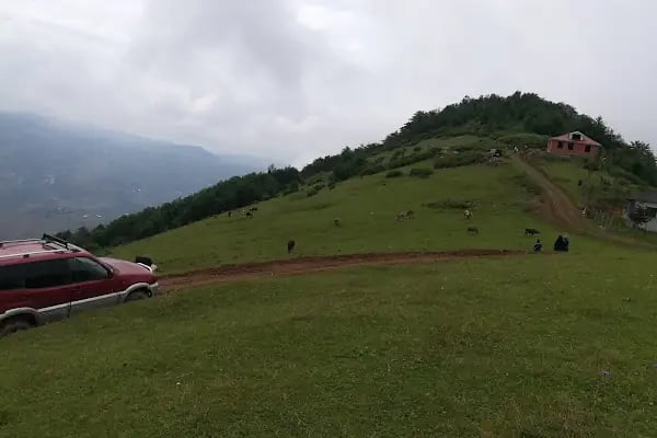 ZİGANA GÜMÜŞKAYAK YAYLAKENT HOTEL &amp; BUNGALOW - Resim 14