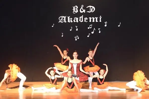 BD Akademi - Resim 1