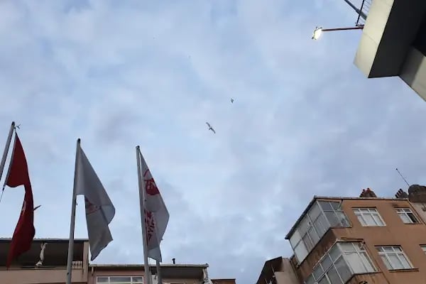 Fatih Belediyesi Draman Yüzme Havuzu ve Spor Kompleksi - Resim 6