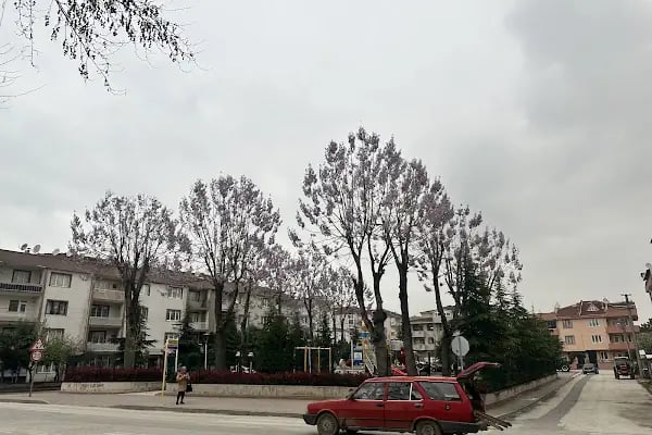 Sedef Sitesi - Resim 1