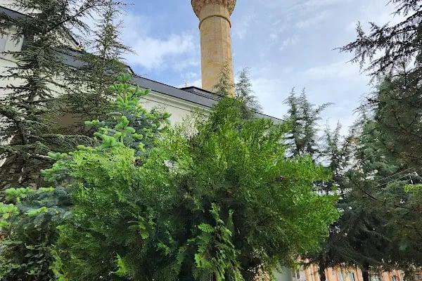 Cebeci Cami - Resim 14
