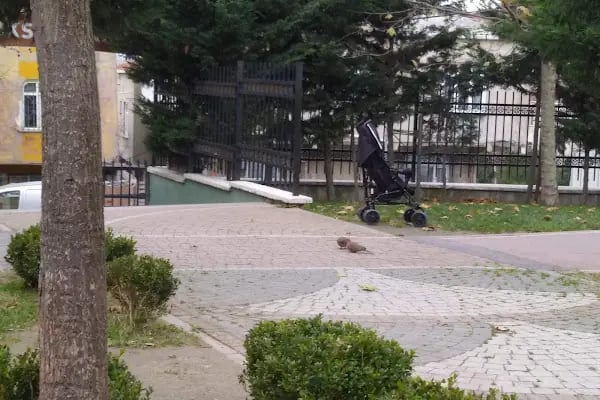Soğuksu Parkı - Resim 19