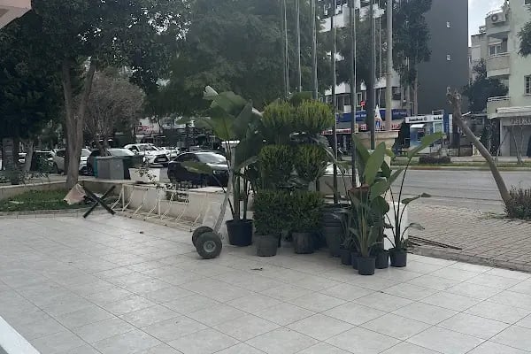 KLS DENT Ağız ve Diş Sağlığı Polikliniği - Resim 8